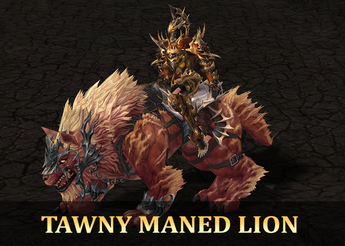 Tawny Maned Lion