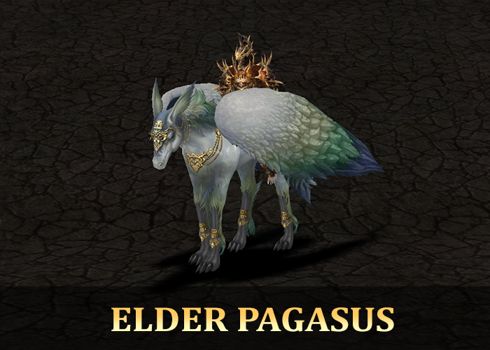 Elder Pagasus
