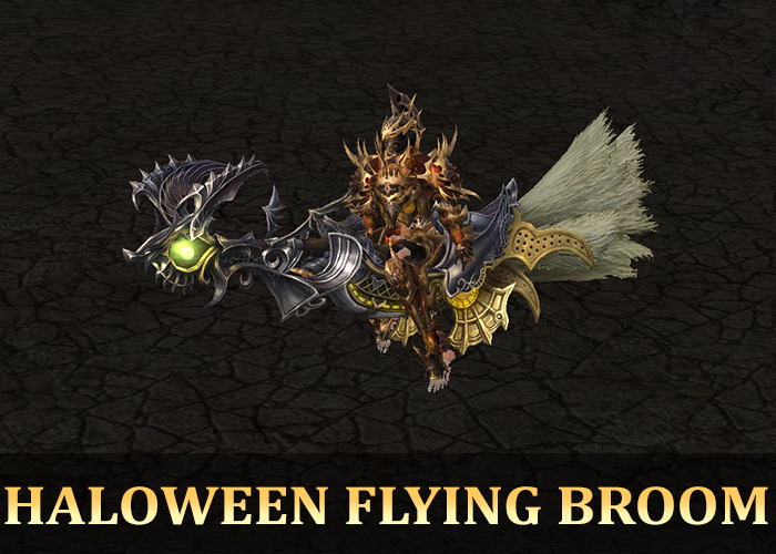 Haloween Flying Broom
